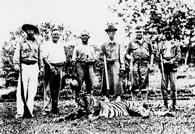 Rodolfo Nolli (3rd from left) was among the hunting party that shot a man-eating tiger at Kulai, Johor, on 25 June 1931. Image reproduced from the Straits Budget, 9 July 1931, 17. (From NewspaperSG).